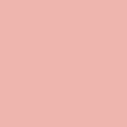 Mesa Rose Color de pintura DE5114