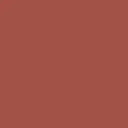 BBQ Paint Color DE5118