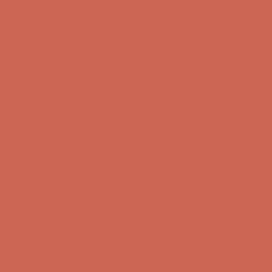 Southwestern Clay Paint Color DE5124