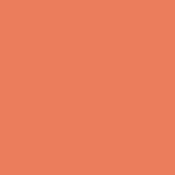 Orange Daylily Paint Color DE5145
