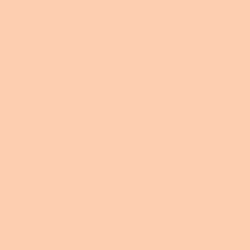 Tender Peach Paint Color DE5157
