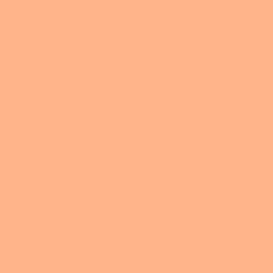 Dreamsicle Paint Color DE5158