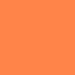 Tangerine Dream Paint Color DE5160