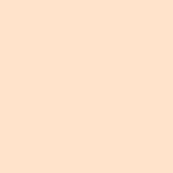 Pale Apricot Paint Color DE5163