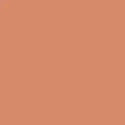 Bronzed Orange Paint Color DE5179