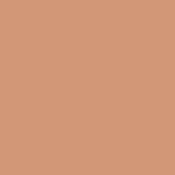 Tawny Amber Paint Color DE5214