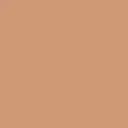 Tawny Amber Paint Color DE5214