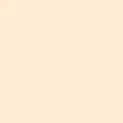 Delightful Peach Paint Color DE5239