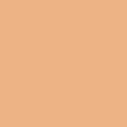 Rusty Orange Paint Color DE5248