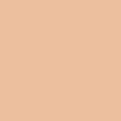 Madrid Beige Paint Color DE5255