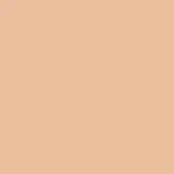 Madrid Beige Paint Color DE5255