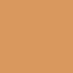 Apple Cider Paint Color DE5270