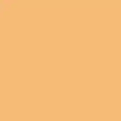 Amber Dawn Paint Color DE5277