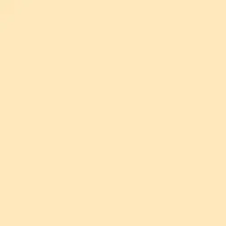 Creamy Apricot Paint Color DE5282