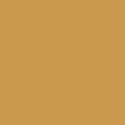 Gingerbread House Paint Color DE5334