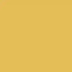 Golden Appeal Paint Color DE5382