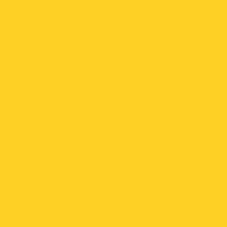 Lemon Punch Paint Color DE5398