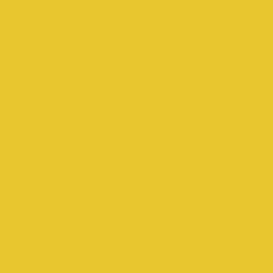 Lemon Zest Paint Color DE5412