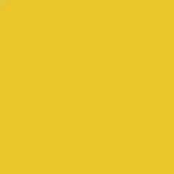 Lemon Zest Paint Color DE5412