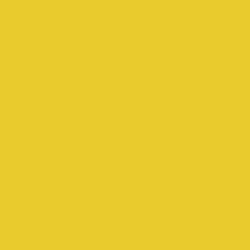 Soleil Paint Color DE5419