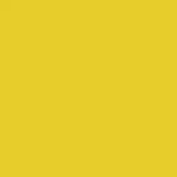 Soleil Paint Color DE5419