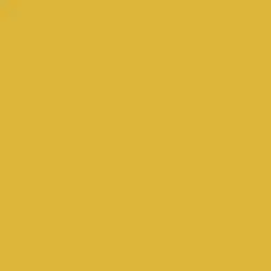 Woven Gold Paint Color DE5425