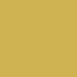 Gold Gleam Color de pintura DE5452