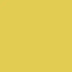 Citrus Spice Paint Color DE5466