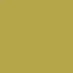 Moss Stone Paint Color DE5481