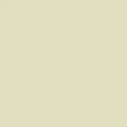Silver Fern Color de pintura DE5492