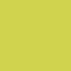 Limelight Paint Color DE5516