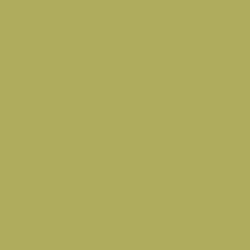 Palm Frond Paint Color DE5522
