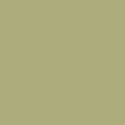 Stuffed Olive Color de pintura DE5529