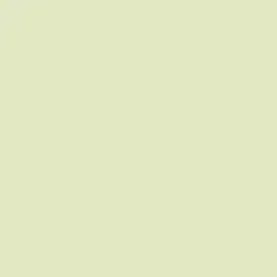 Tinted Mint Paint Color DE5540