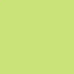 Celery Paint Color DE5557