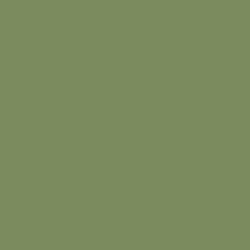 Sage Leaves Paint Color DE5572