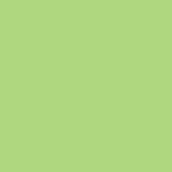 Wasabi Paint Color DE5578