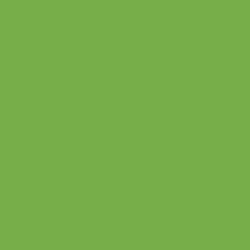 Parakeet Paint Color DE5580
