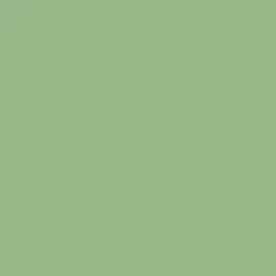 Mistletoe Kiss Paint Color DE5620