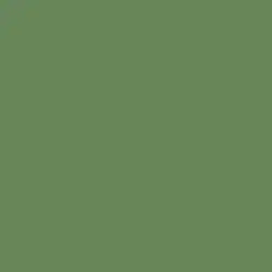 Thicket Paint Color DE5622