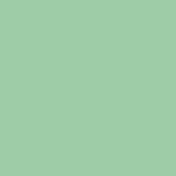 Potted Plant Paint Color DE5626