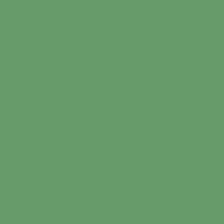 Leafy Paint Color DE5628