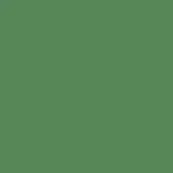 Emerald Ring Paint Color DE5629