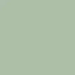 Fresh Thyme Paint Color DE5654