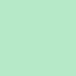 Mint-o-licious Paint Color DE5660