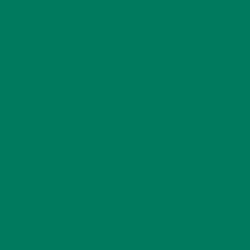 Emerald Pool Paint Color DE5699