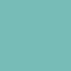 Polished Aqua Paint Color DE5724