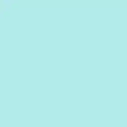 Spearmint Paint Color DE5729