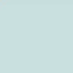 Silver Spruce Paint Color DE5743