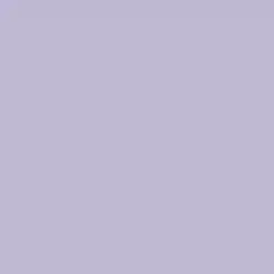 Playful Purple Color de pintura DE5947